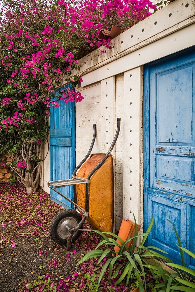 Canary Islands-Fuerteventura Island-La Oliva-blue door of garden shed